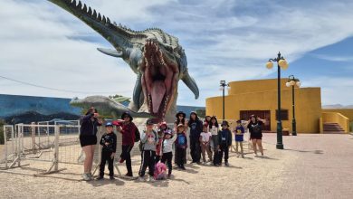 Photo of JUNAEB INVIERTE CERCA DE $100 MILLONES EN ACTIVIDADES DE VERANO