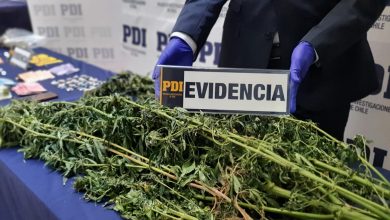 Photo of Brigada Antinarcóticos y Contra el Crimen Organizado de Antofagasta neutraliza puntos de  Microtráfico en Taltal