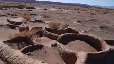 Photo of Cuatro proyectos de la región de Antofagasta recibirán más de 129 millones de pesos.
