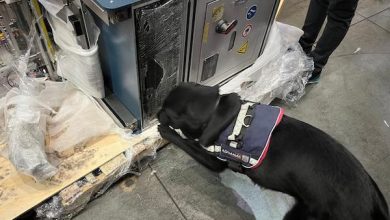 Photo of Aduana Metropolitana descubre más 100 kilos de metanfetaminas ocultas en máquina industrial
