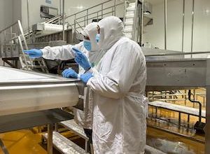 Photo of Dirección del Trabajo multa por casi 55 millones de pesos a empresa de Llanquihue donde falleció un trabajador y otra sufrió amputación parcial