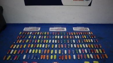 Photo of Viajaba con 185 ovoides de pasta base ocultos en peluche de capibara y sus ropas