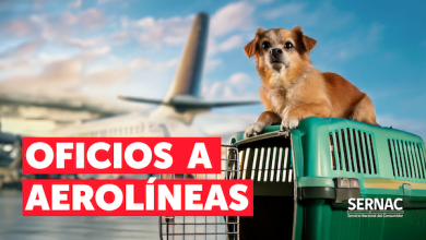 Photo of SERNAC oficia a aerolíneas para saber sobre traslados de mascotas en los aviones