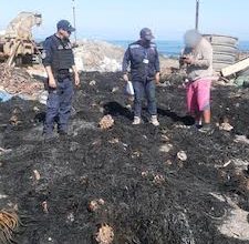 Photo of Incautan 5 toneladas de huiro negro extraído ilegalmente en una planta de Tocopilla