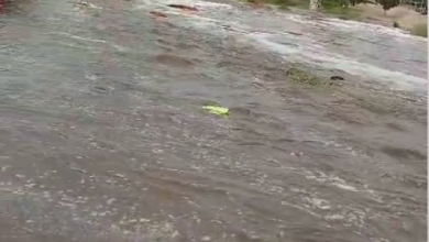 Photo of Por crecida del río Loa e inundaciones cierran parque El Loa