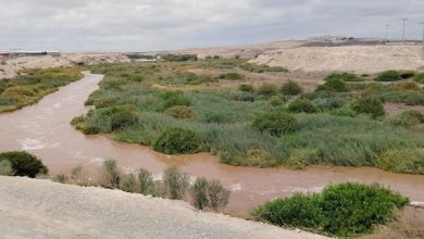 Photo of Alarma SAE para río Loa por desborde del río en Yalquincha