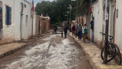 Photo of Lluvias estivales: CORE aprobó 350 millones para restaurar las condiciones de los agricultores y ganaderos de Alto El Loa y Atacama La Grande
