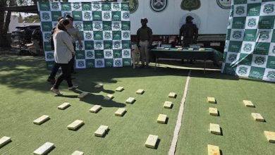 Photo of Fiscalía obtuvo prisión preventiva por tráfico de más de 50 kilos de cocaína