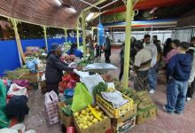 Photo of ESTE VIERNES COMIENZA UNA NUEVA VERSIÓN DE LA FEPLOA 2026