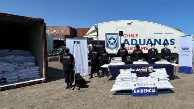 Photo of Incautan 146 toneladas de precursores químicos para drogas en los puertos de Arica e Iquique