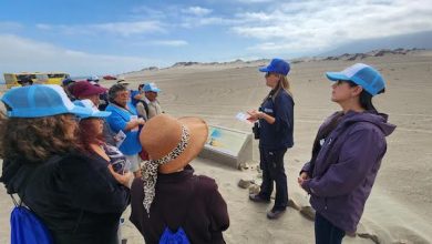 Photo of Personas mayores de Mejillones recorrieron la Pampa
