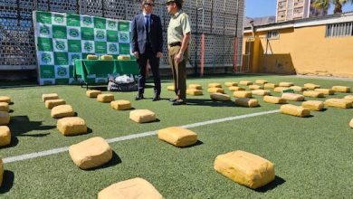 Photo of Dos detenidos y 145 kilos de marihuana incautada durante procedimientos en Taltal y Sierra Gorda