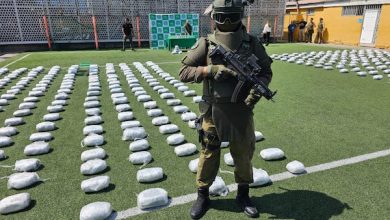 Photo of Patrullaje fronterizo evita ingreso de más de 500 kilos de drogas