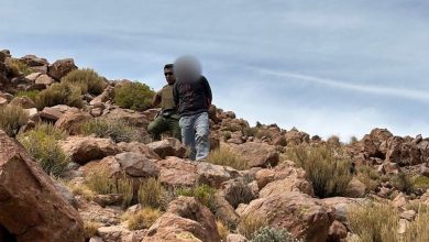 Photo of Prisión preventiva para boliviano detenido por cacería de vicuñas