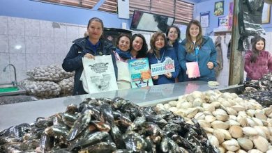 Photo of Más de 5 mil toneladas de pescados y mariscos fueron controlados por Sernapesca en el período de Semana Santa