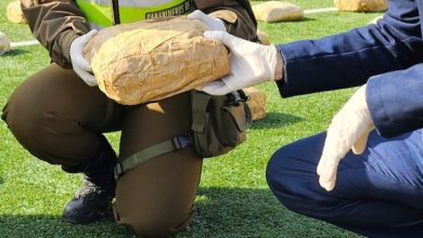 Photo of 14 años de presidio para sujeto detenido en Taltal con 186 kilos de marihuana