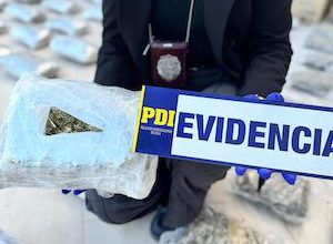 Photo of Golpe al narcotráfico: Brigada Antinarcóticos de Calama incauta más de 90 kilos de cannabis
