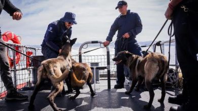 Photo of Caninos de la Armada finalizan curso con Aduanas para reforzar la seguridad en el litoral