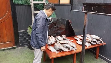 Photo of Por graves deficiencias sanitarias Salud prohíbe funcionamiento de restorán antofagastino