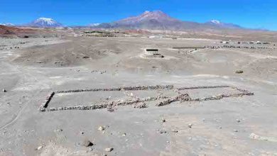 Photo of Tambo de Camar: un pequeño punto que brilla en el desierto
