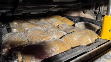 Photo of En Ollagüe Aduanas descubre 67 kilos de marihuana