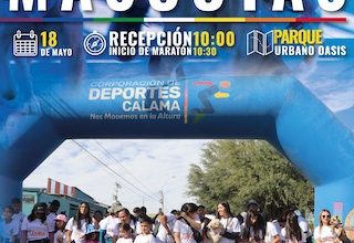 Photo of Maratón de Mascotas se realizará este domingo en Calama