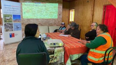 Photo of Olivicultores de Taltal se capacitan en agricultura orgánica para avanzar hacia la certificación