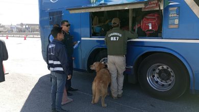 Photo of DETIENEN A CONDUCTOR DE CAMIÓN POR MANTENER LICENCIA DE CONDUCIR FALSA