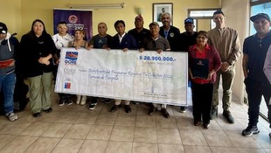 Photo of Entregan once subsidios para renovación de taxis-colectivos en la comuna de Tocopilla