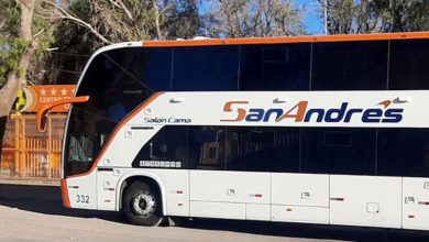 Photo of Encontraron droga en bus que viajaría a Iquique con jugadores juveniles de Cobreloa