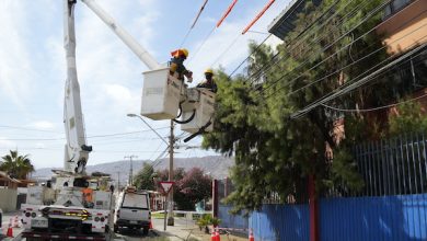 Photo of Con poda preventiva en líneas energizadas evitan problemas de cortes de energía