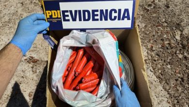 Photo of PDI recuperó dinamita robada a minera