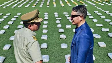 Photo of Millonaria carga de droga incautó carabineros