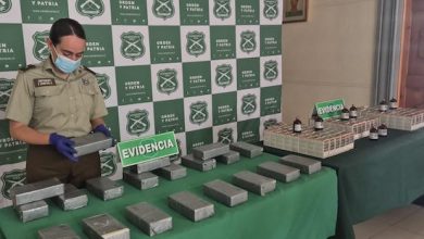 Photo of En dos procedimientos Carabineros incauta 603 millones de pesos en drogas