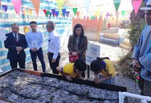 Photo of En La Tirana inauguran los Huertos Escolares del proyecto LabAncestral