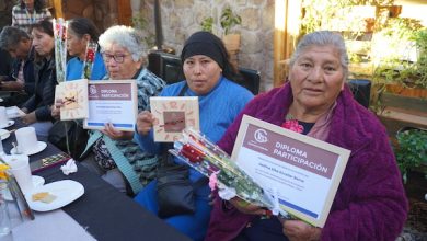 Photo of Adultos mayores de Alto El Loa y Calama impulsan sus emprendimientos con apoyo de El Abra