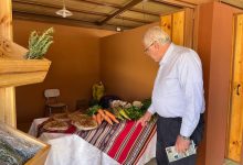 Photo of Codelco y comunidad de Lasana inauguran nueva feria gastronómica
