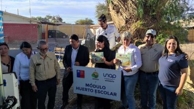 Photo of Subsecretario de Ciencia y Tecnología destaca instalación de Huertos Escolares en escuelas rurales de El Tamarugal