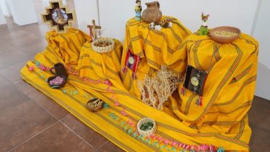 Photo of “La Belleza oculta del desierto” es la nueva exposición de la Galería de Arte Pablo Neruda