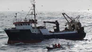 Photo of Corte Suprema confirmó procedimiento administrativo sancionatorio de Sernapesca a pesquera de la región de Antofagasta por descarte de jurel y caballa