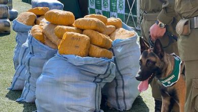 Photo of Prisión preventiva para imputados detenidos con más de una tonelada de drogas
