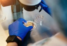 Photo of ¿Quiénes tienen derecho, a qué tratamientos y cómo regular embriones criopreservados?: temas a abordar en fertilización asistida