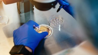 Photo of ¿Quiénes tienen derecho, a qué tratamientos y cómo regular embriones criopreservados?: temas a abordar en fertilización asistida