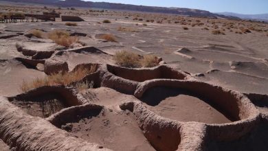 Photo of Capacitan a organizaciones sociales para postulación a los Fondos del Patrimonio 2025