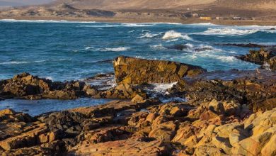 Photo of Destacan resultados de pionero estudio sobre la biodiversidad marina de la región de Antofagasta