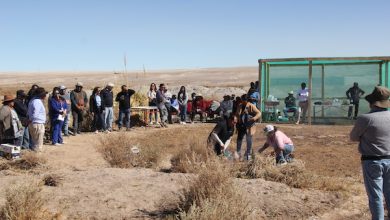 Photo of En Chiu-Chiu se inician obras de construcción de cancha de fútbol con terreno aportado por Minera El Abra