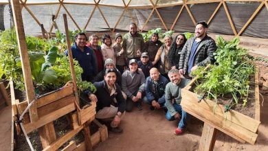 Photo of Agricultores de Atacama La Grande y Alto Loa completan ciclo hacia la transición a una agricultura sostenible