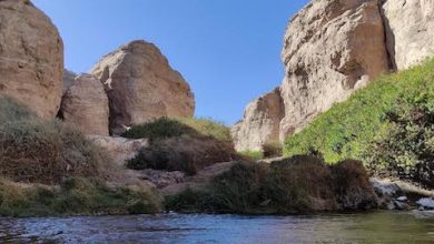 Photo of Entra en vigencia reglamento para solicitar derechos de aprovechamiento de aguas no extractivo o in situ