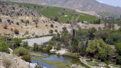 Photo of OFICIAN A LA DIRECCIÓN REGIONAL DE AGUAS POR INMINENTE ENTUBAMIENTO DE CANAL COGOTÍ