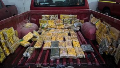 Photo of MÁS DE 5 MIL MILONES DE PESOS EN DROGA INCAUTA CARABINEROS
